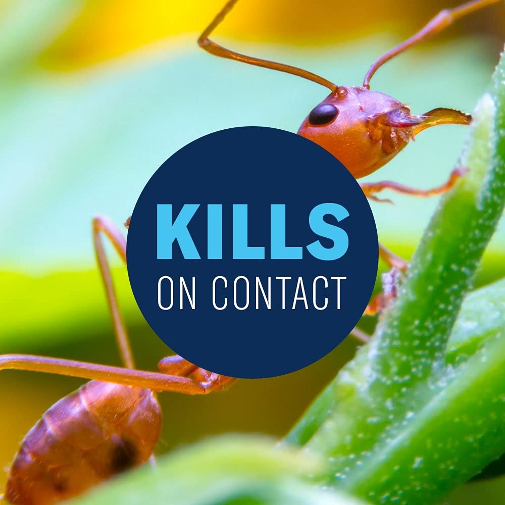 24 Hour Lawn Insect & Fire Ant Killer Ready-to-Spray 32FOZ Y81460