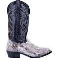 Grey Python Boots H31589
