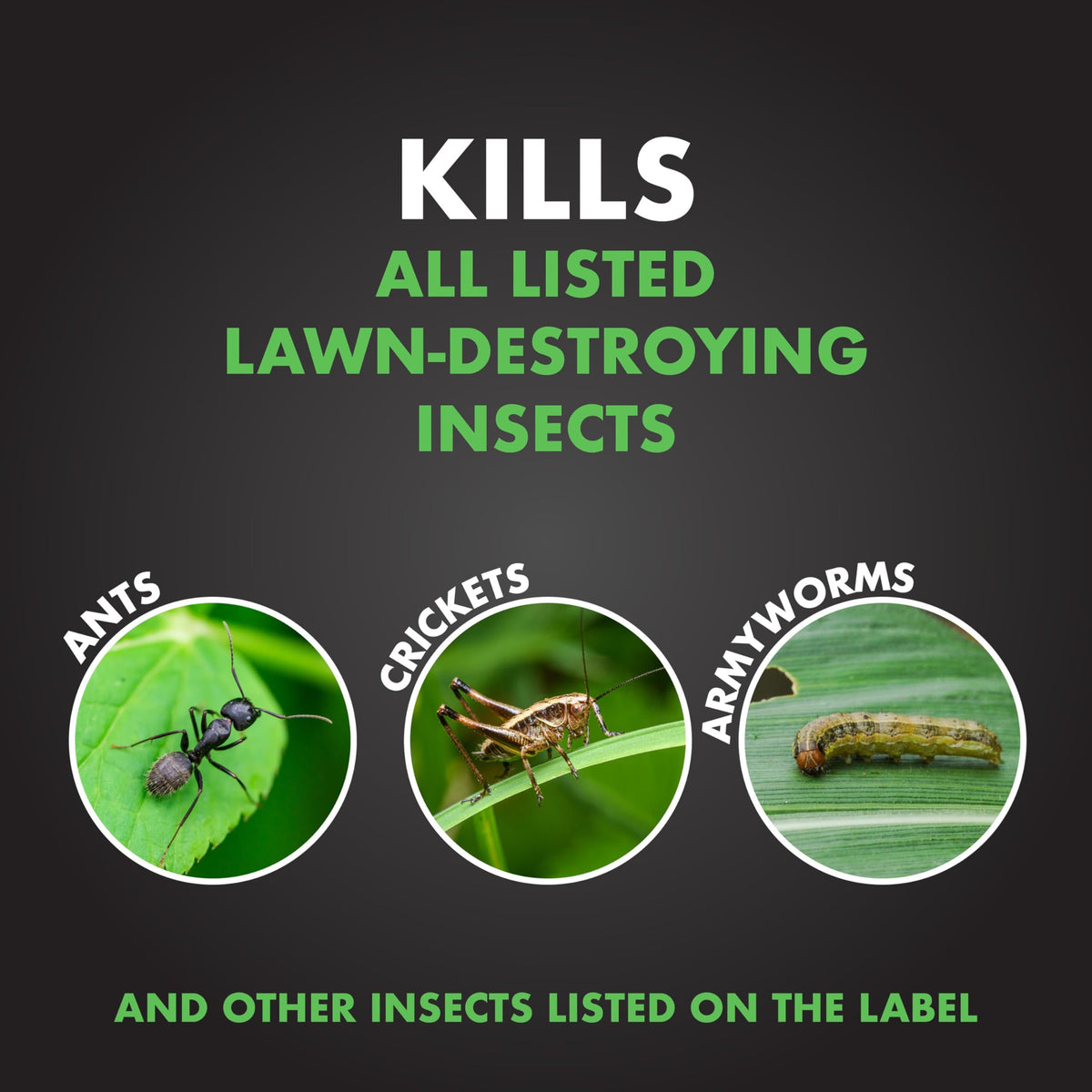 20 lb Granules Insect Killer X810246