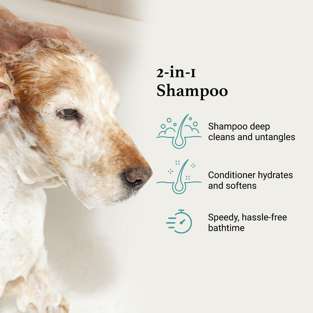 Dog Shampoo + Conditioner X556691