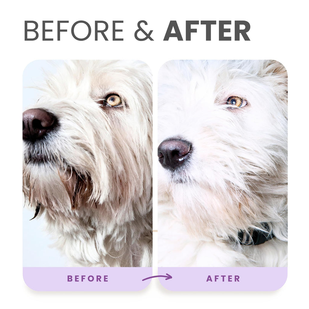 Brightening Shampoo & Oatmeal Conditioner Set for Dogs J202