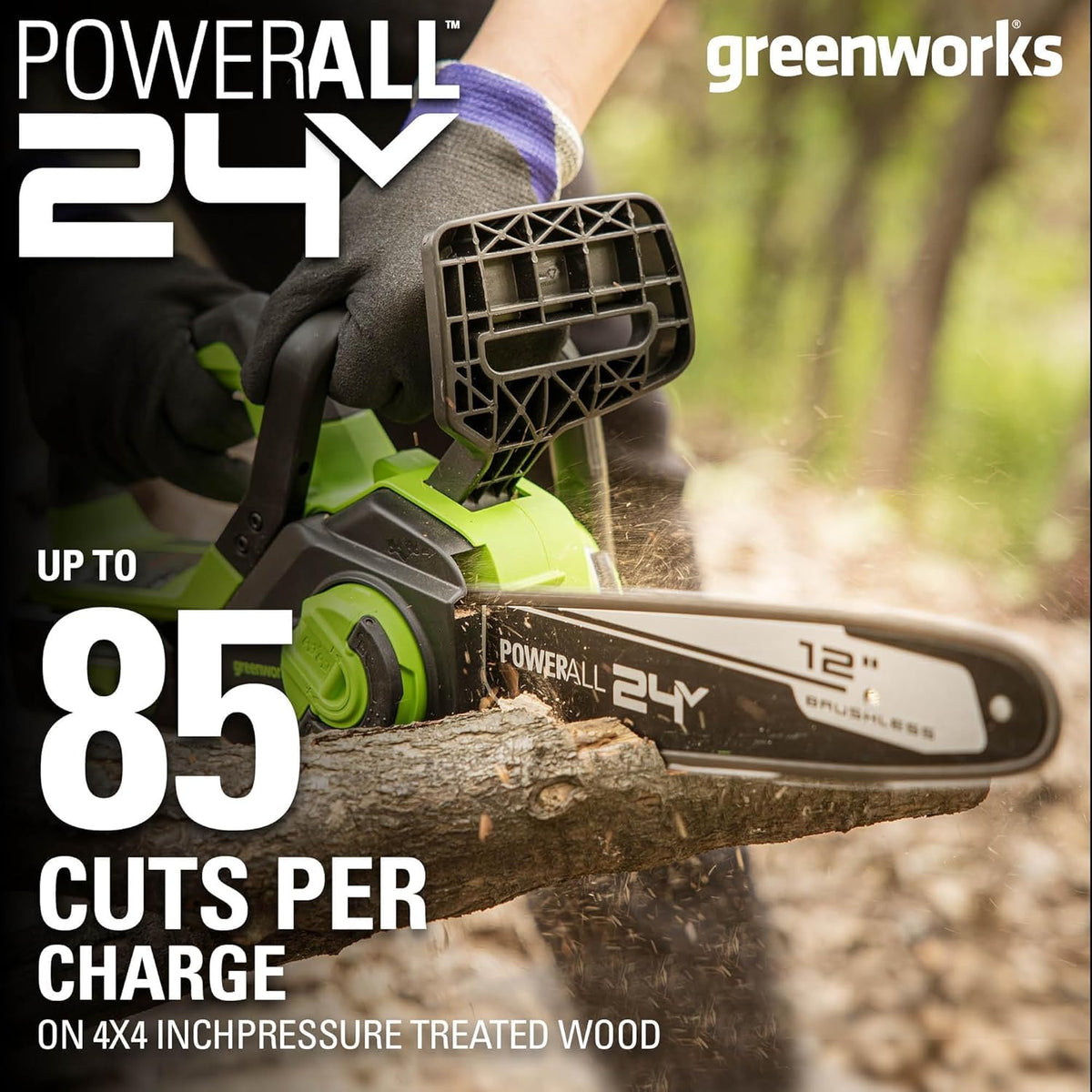 24V 12 in Cordless Electric Chainsaw C285