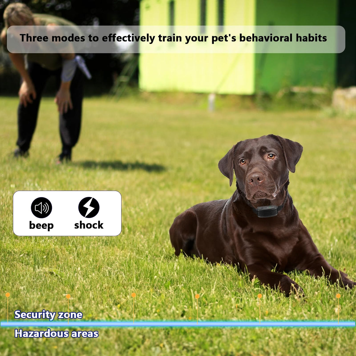 In-Ground Electric Dog Fence System for 2 Dogs G62574