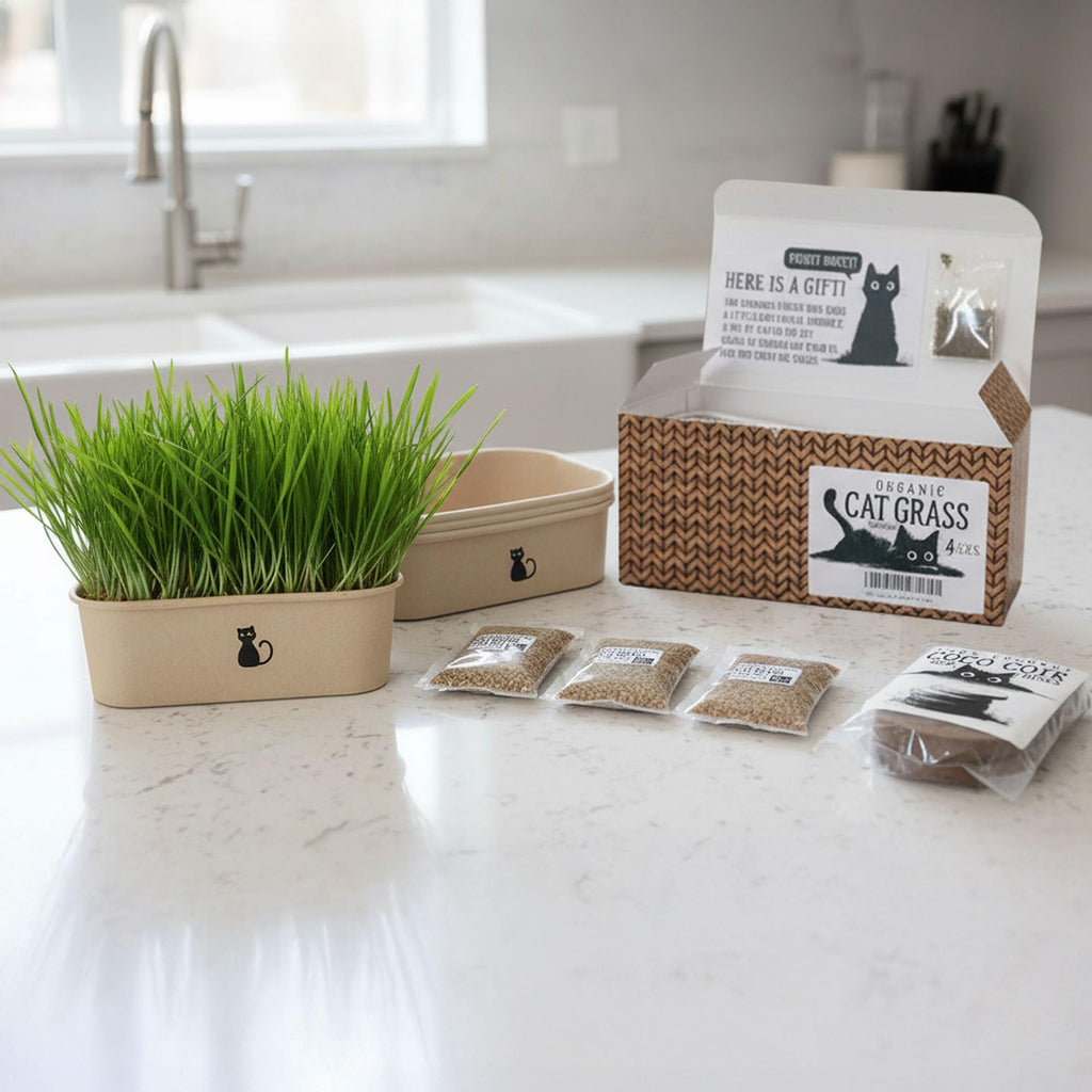 4-Batch Indoor Cat Grass Grow Kit with Containers, Soil Disks & Seeds M191080