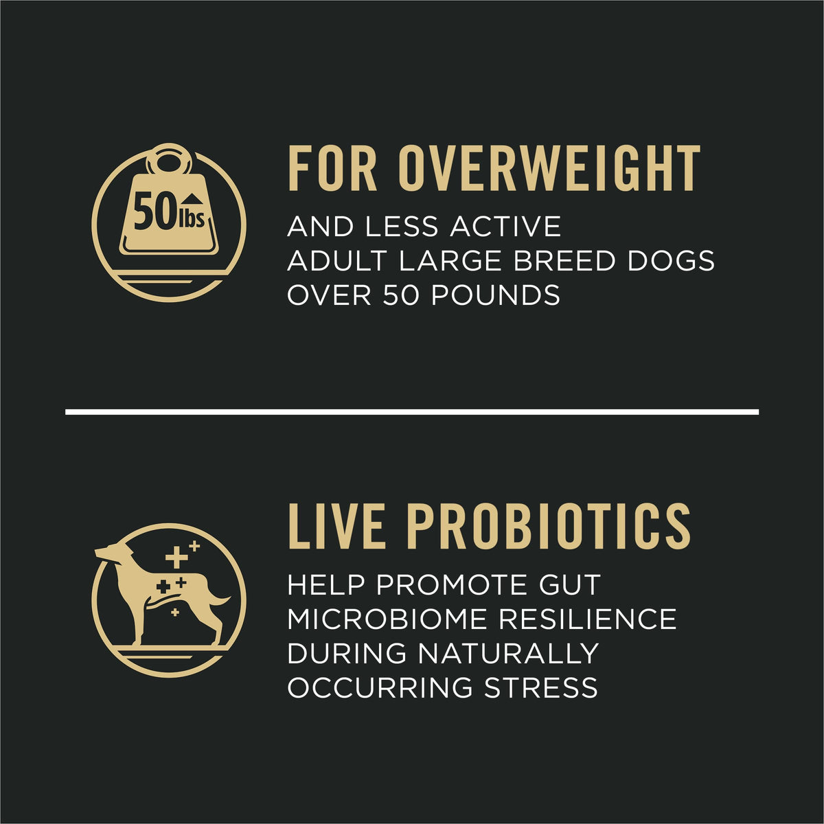 Weight Management Large Breed Dog Food Chicken 34 lb Bag J668