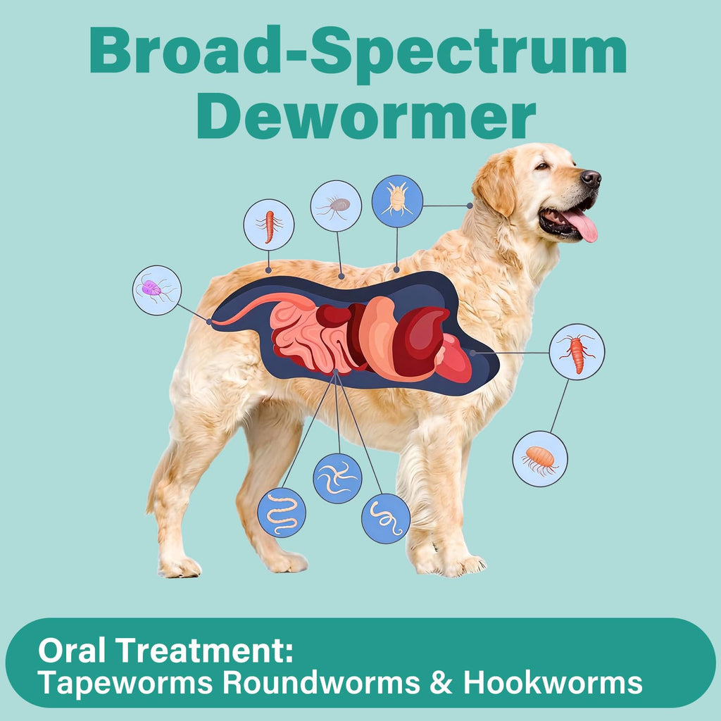 Large Dog & Puppy Oral Worm Remover 50 Tablets Z916342