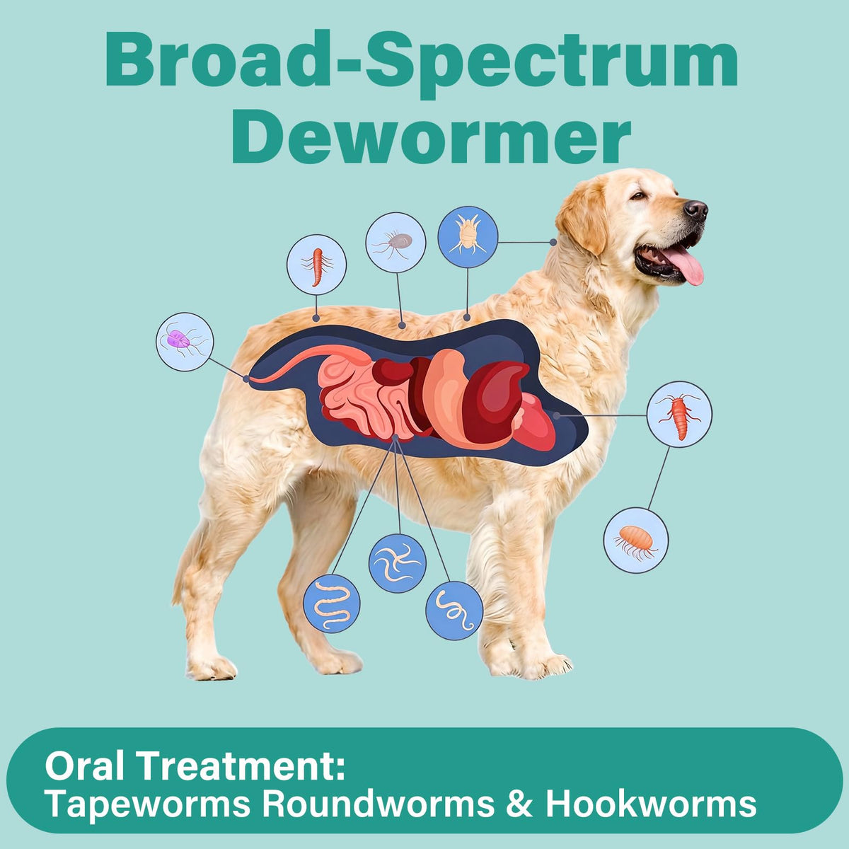 Large Dog & Puppy Oral Worm Remover 50 Tablets Z916342