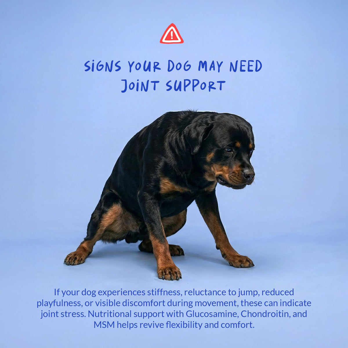 Glucosamine MSM & Chondroitin Dog Supplement 120 ct I961587