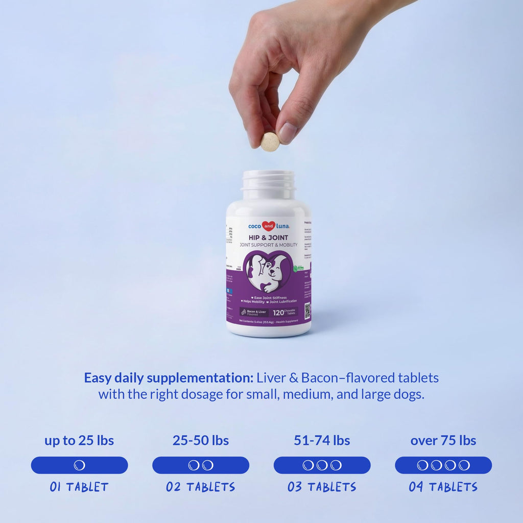 Glucosamine MSM & Chondroitin Dog Supplement 120 ct I961587
