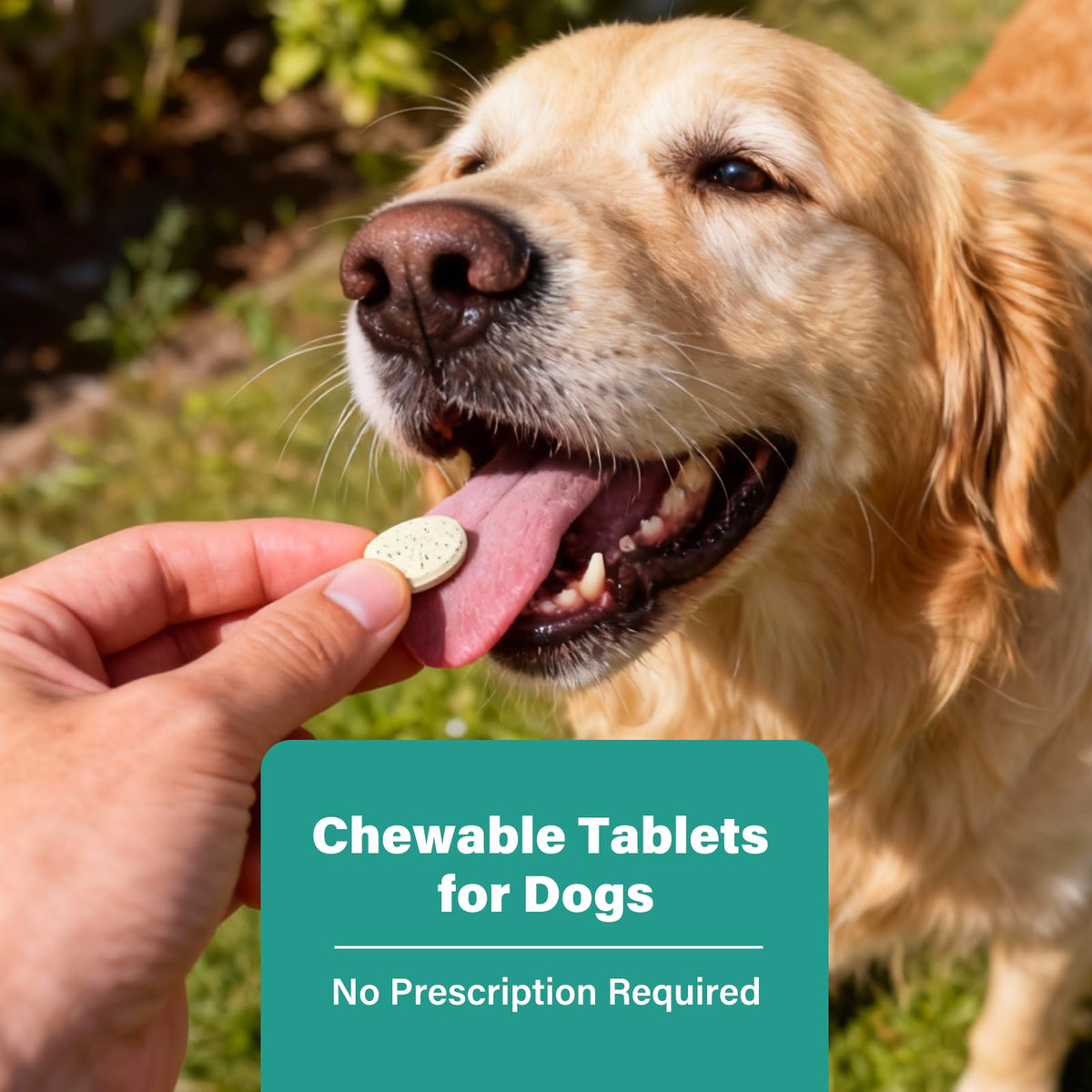 Large Dog & Puppy Oral Worm Remover 50 Tablets Z916342