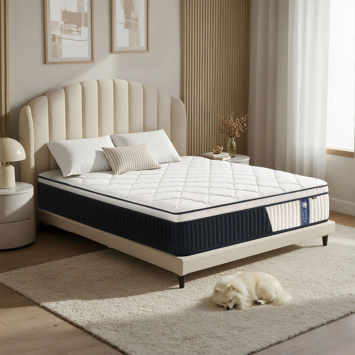 10 Inch Full Size Hybrid Mattress P852931