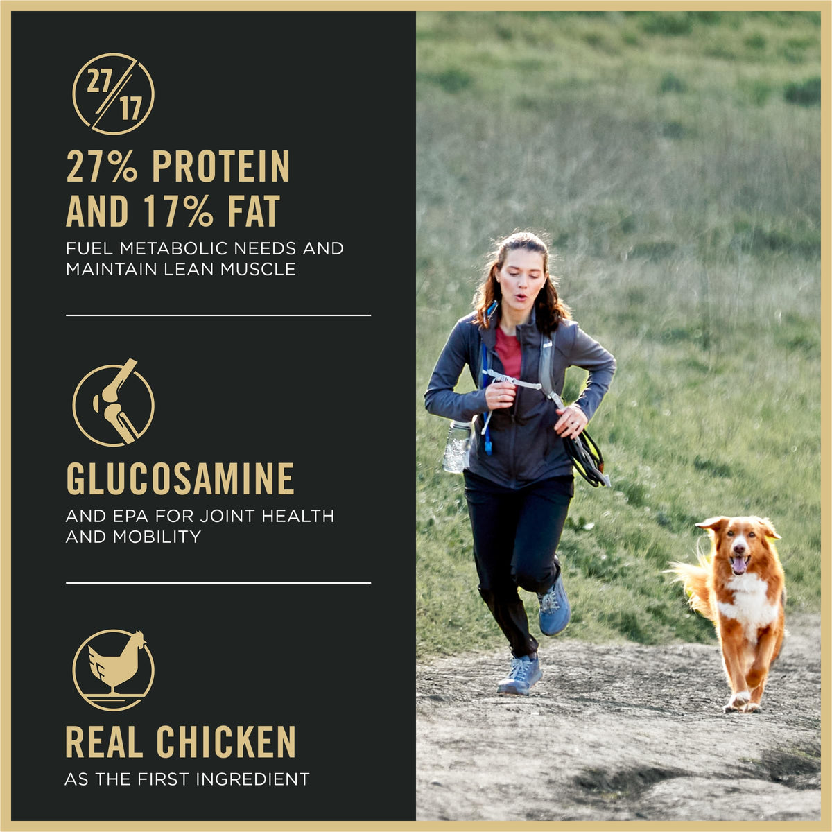 High Protein Chicken & Rice Dog Food 37.5 lb E529