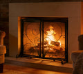Black Metal Mesh Fireplace Screen with Double Doors Y4433