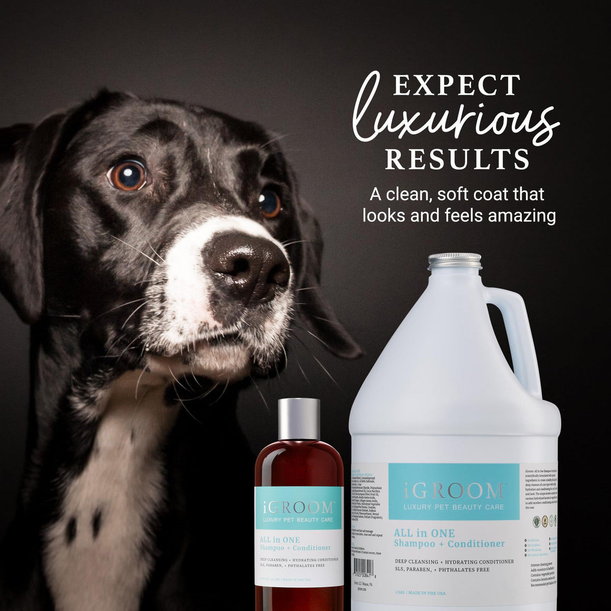 Dog Shampoo + Conditioner X556691