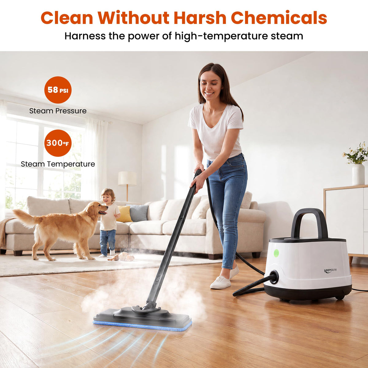 Multipurpose Steam Cleaner V6564