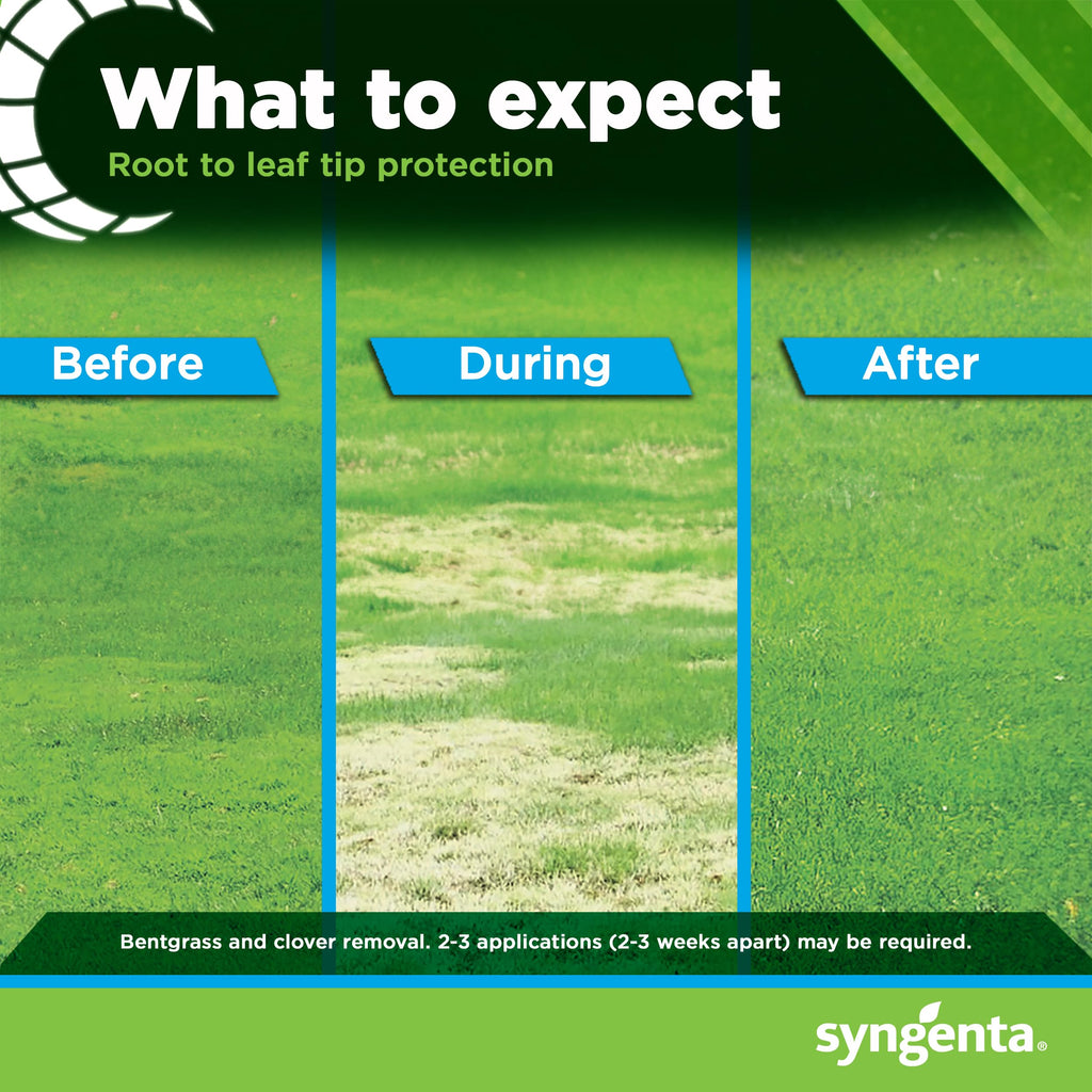 8oz Herbicide V59139