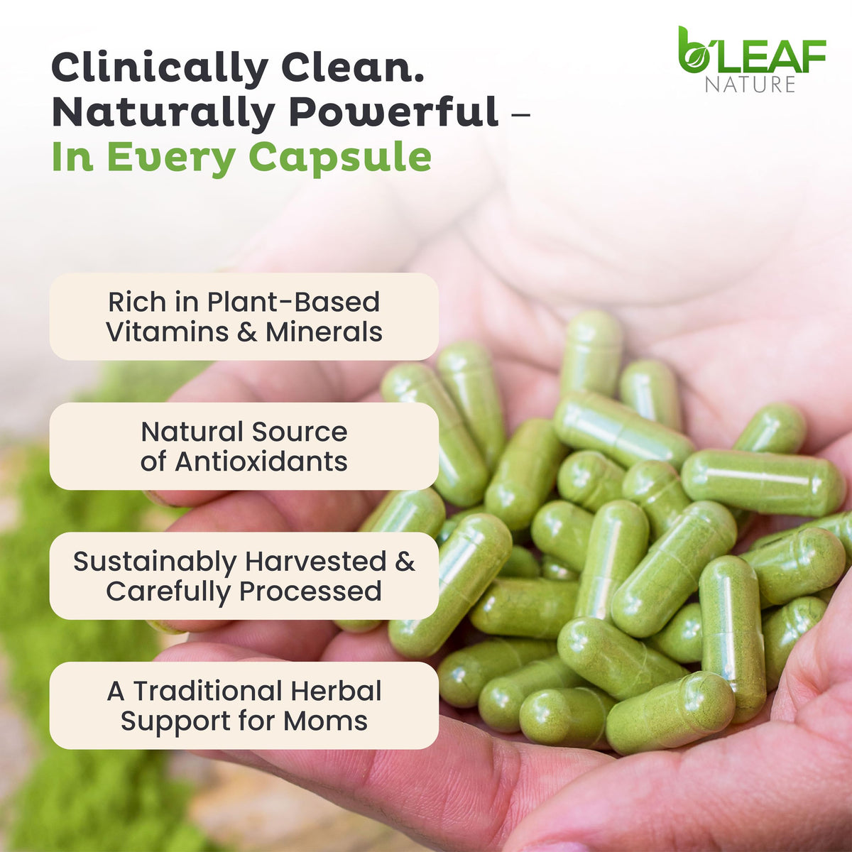 Moringa Leaf Vegan Capsules 1000mg 180 Count C349