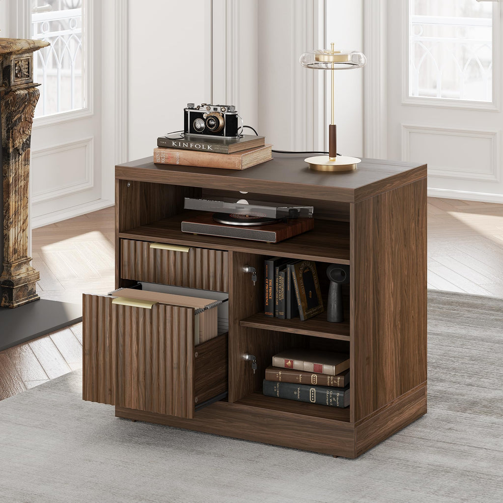 2 Drawer File Cabinet with Lock L600527