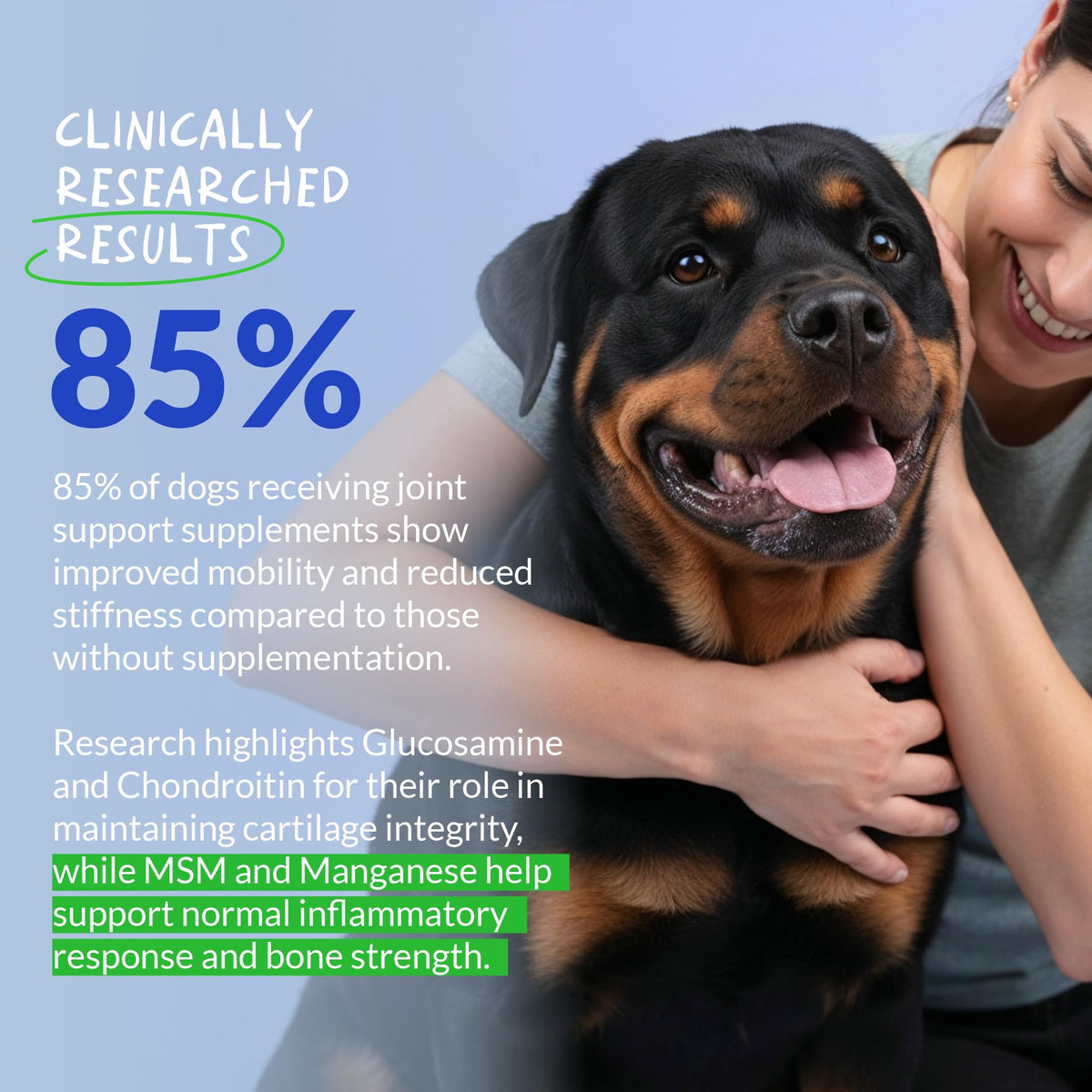 Glucosamine MSM & Chondroitin Dog Supplement 120 ct I961587