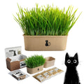 4-Batch Indoor Cat Grass Grow Kit with Containers, Soil Disks & Seeds M191080