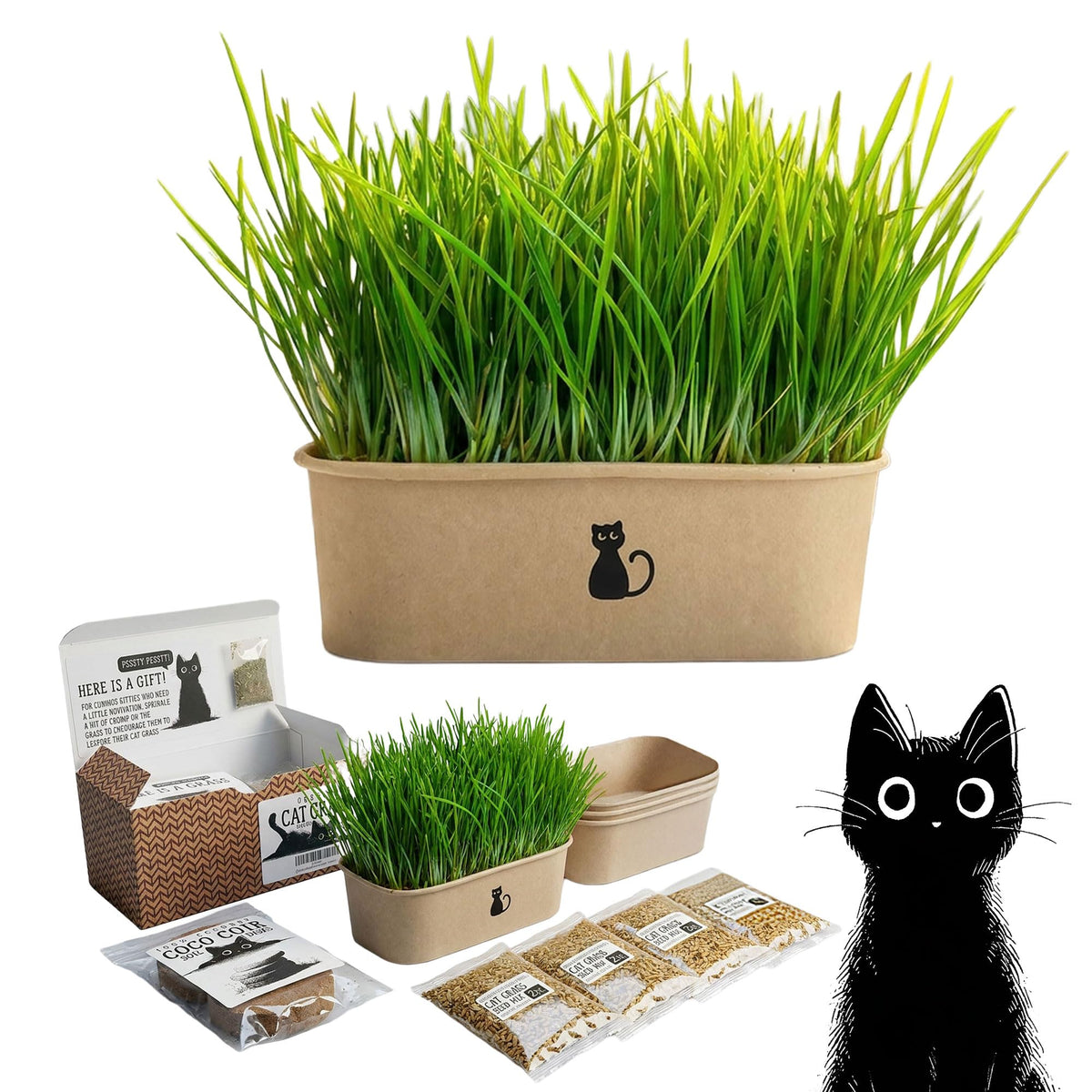 4-Batch Indoor Cat Grass Grow Kit with Containers, Soil Disks & Seeds M191080