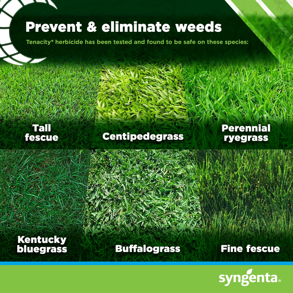 8oz Herbicide V59139