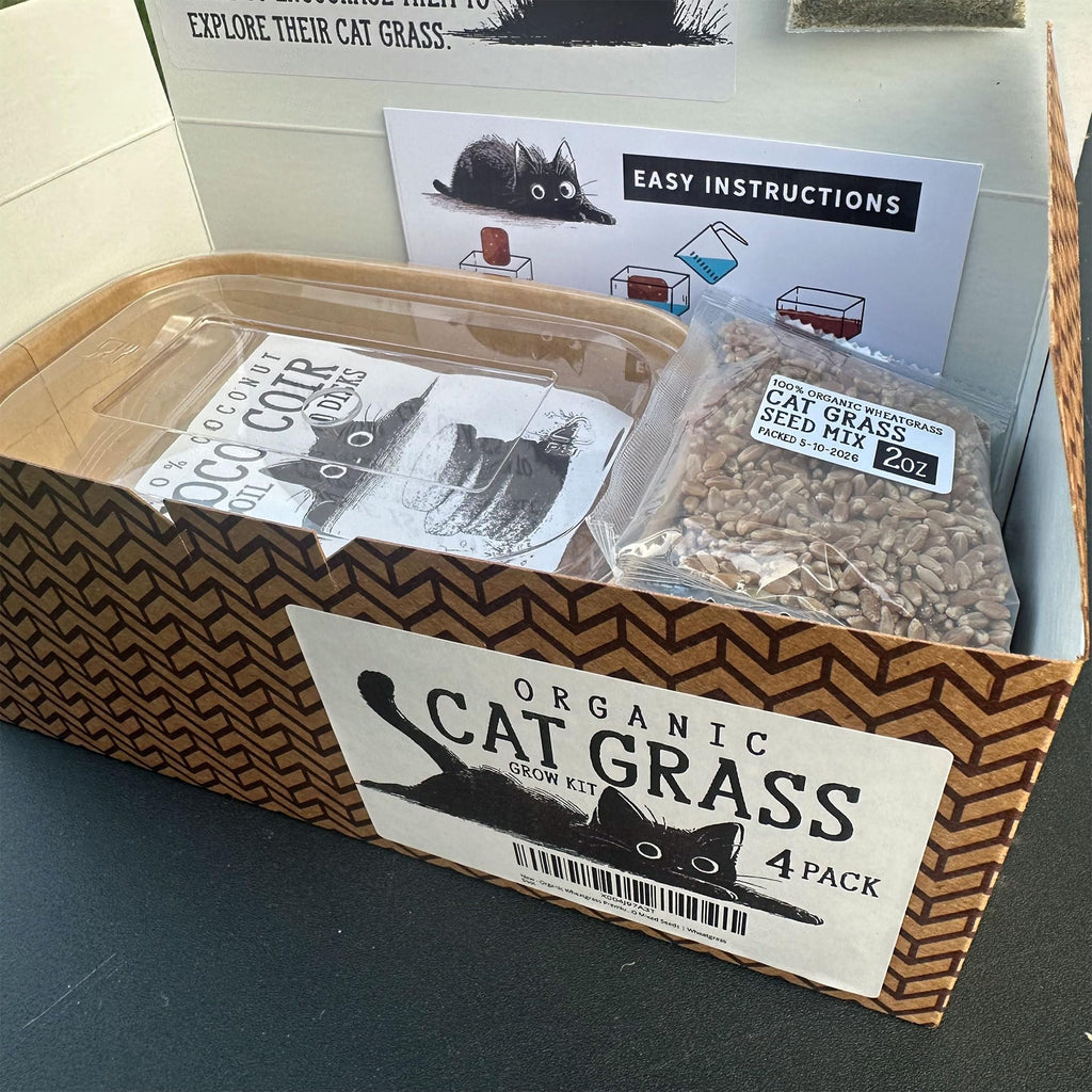 4-Batch Indoor Cat Grass Grow Kit with Containers, Soil Disks & Seeds M191080